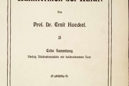 自然界的艺术形态.Kunstformen der Natur.2册.By Ernst Haeckel.德文版.超清图版.1904年 PDF电子版下载
